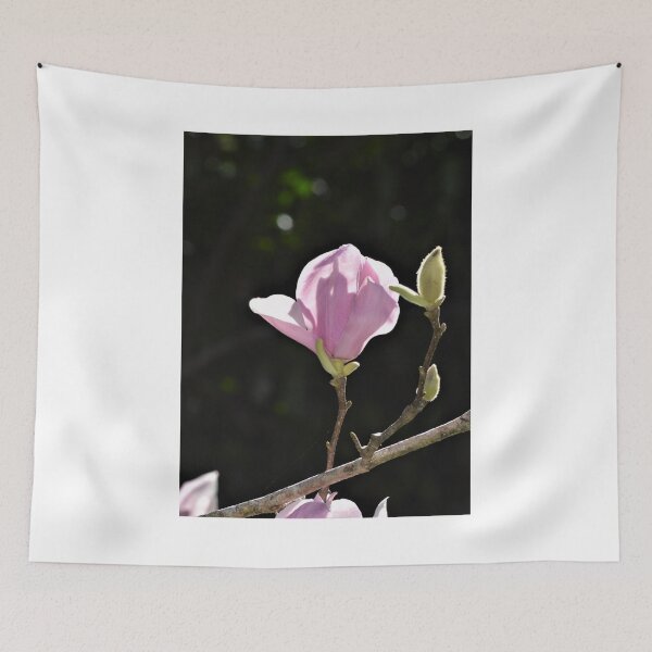 Item preview, Pink Tulip Magnolia Bloom and Buds designed and sold by Warren  Thompson.