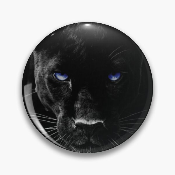 Pin on Panther Pets