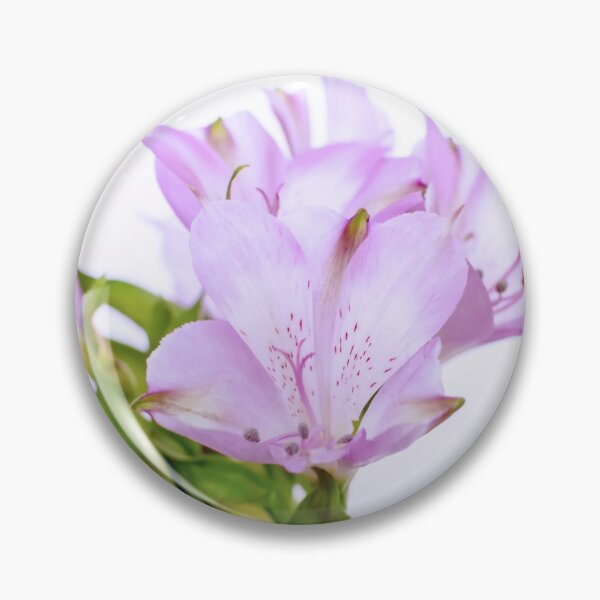 Item preview, Fresh purple Alstroemeria flowers isolated on white background designed and sold by lena-maximova.