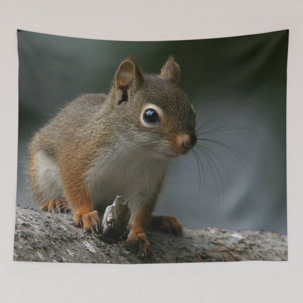 Item preview, Red Squirrel designed and sold by Enola Gay Wagner.