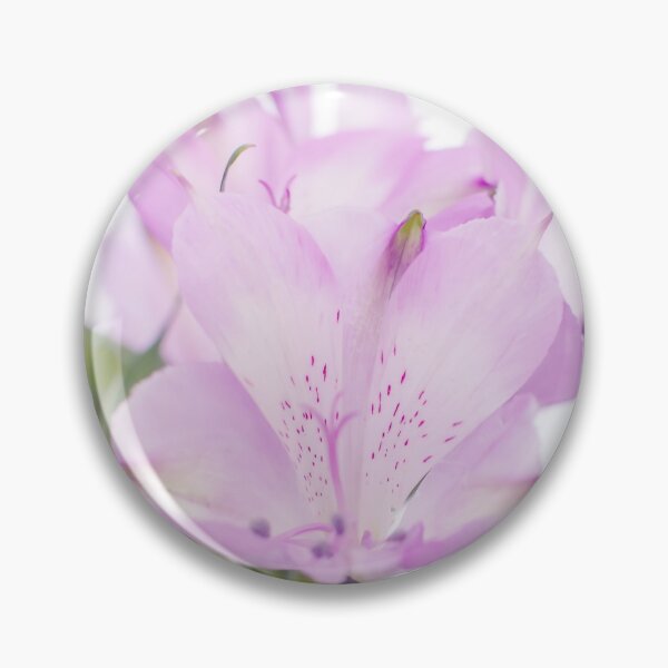 Item preview, Blue Alstroemeria aurea flower bouquet designed and sold by lena-maximova.