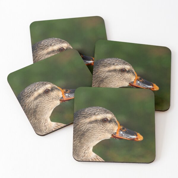 Item preview, Female mallard duck designed and sold by GreyFeatherPhot.