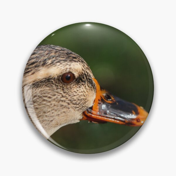 Item preview, Female mallard duck designed and sold by GreyFeatherPhot.