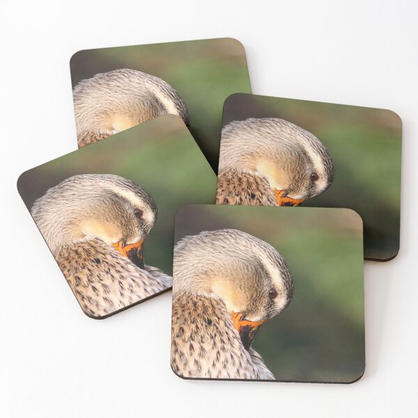 Item preview, Preening mallard designed and sold by GreyFeatherPhot.