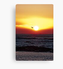 Icarus Canvas Print