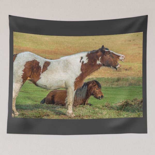 Item preview, Piebald Horse Laughing (at something or someone!) designed and sold by Cameranick.