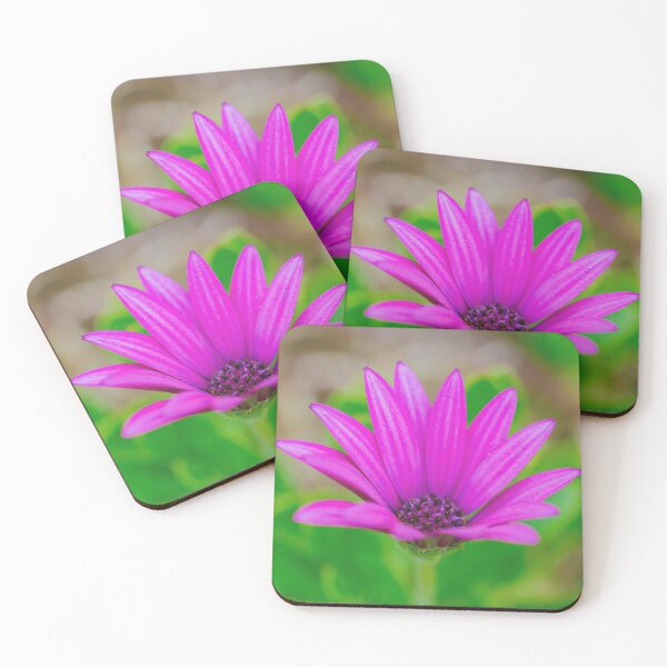 Item preview, A deep pink coloured Cape Daisy Close Up designed and sold by Cameranick.