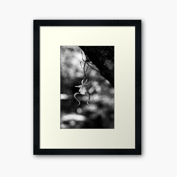 Ghostly Apparition I Framed Art Print