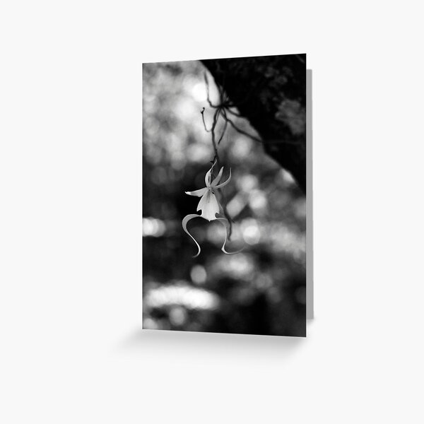Ghostly Apparition I Greeting Card