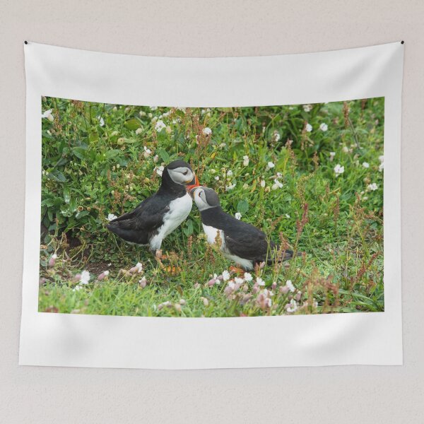Item preview, Puffins having a kiss on Skomer Island Pembrokeshire. Absolutely amazing and fun birds to watch!  designed and sold by Cameranick.