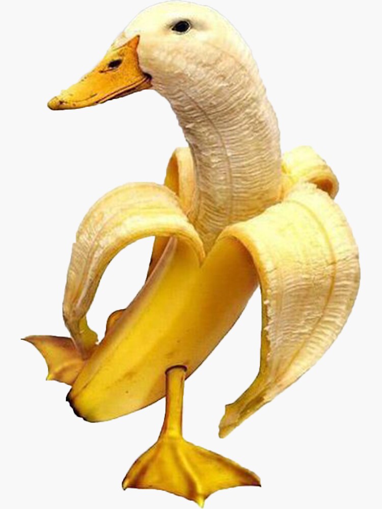 "Banana Duck" Sticker for Sale by dogdogdog360 Redbubble