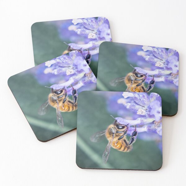 Processus de pollinisation des abeilles sur la fleur de lavande Dessous de verre (lot de 4)