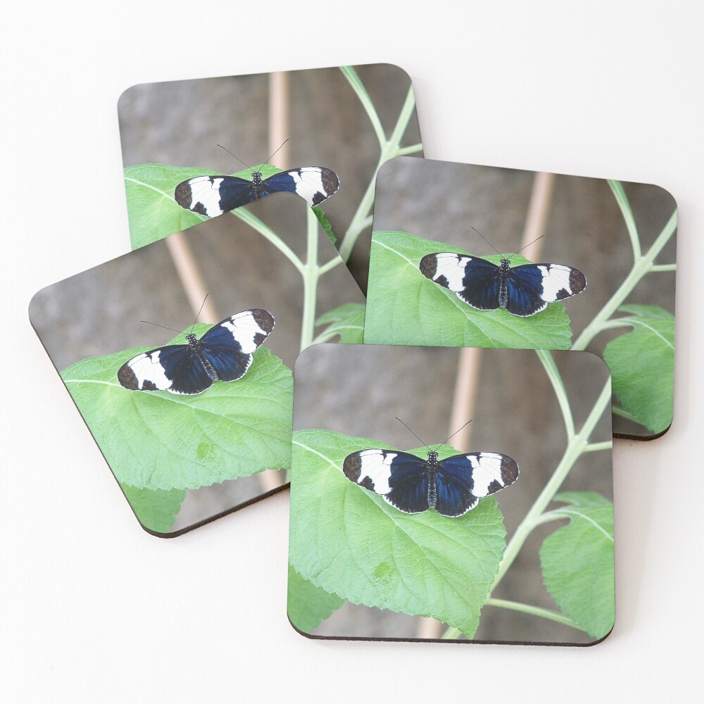 Item preview, Coasters (Set of 4) designed and sold by Rkwkinnard.