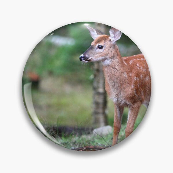 Item preview, Whitetail fawn designed and sold by Enola Gay Wagner.
