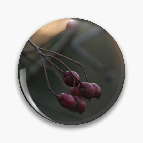 Item preview, hawthorn designed and sold by AidaArt.