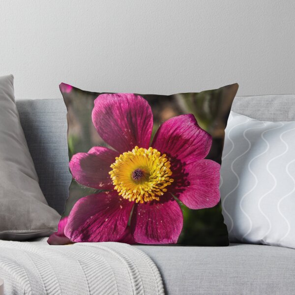 Item preview, beautiful bloom of a pasque flower designed and sold by OE993.