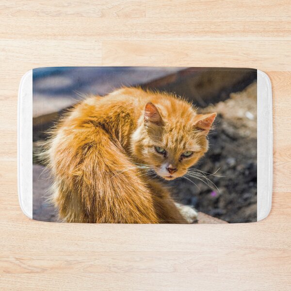 Item preview, Ginger Cat Looking Cross Capri Island designed and sold by Cameranick.