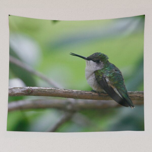 Item preview, rubythroated hummingbird1 designed and sold by Enola Gay Wagner.