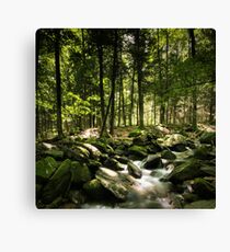 Hidden Places Canvas Print