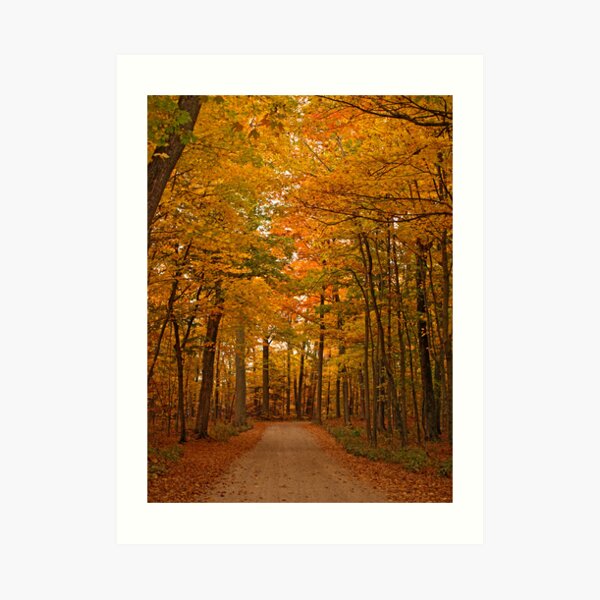 Autumn in Door County Art Print