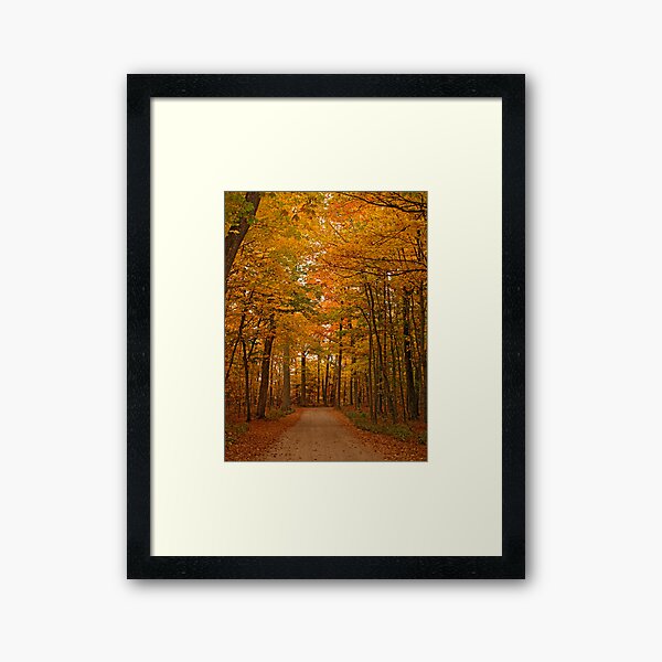 Autumn in Door County Framed Art Print
