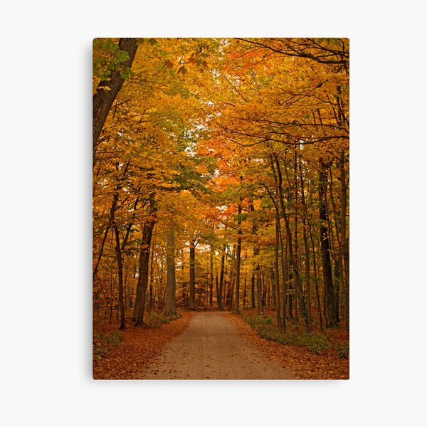 Autumn in Door County Canvas Print