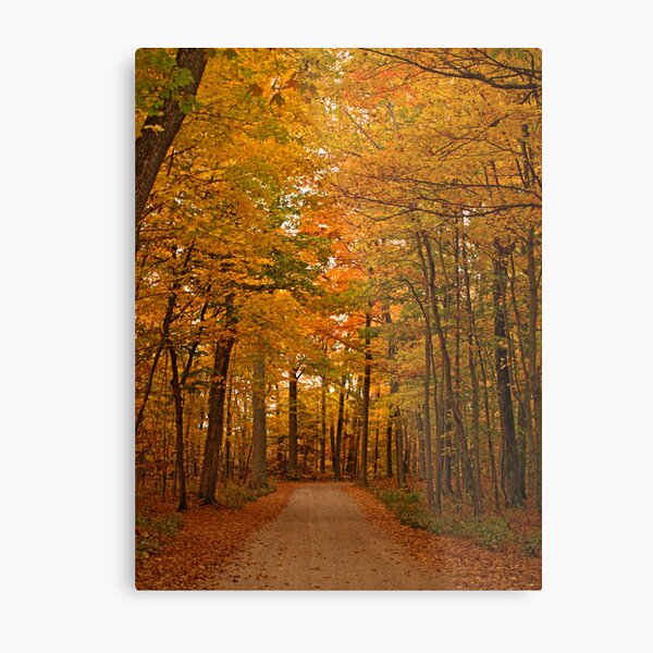 Autumn in Door County Metal Print