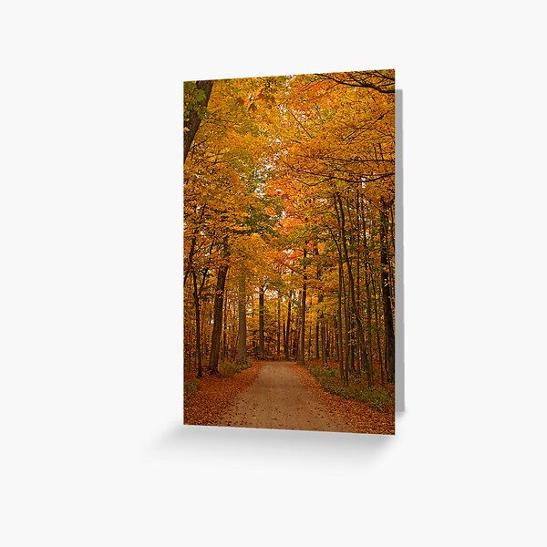 Autumn in Door County Greeting Card