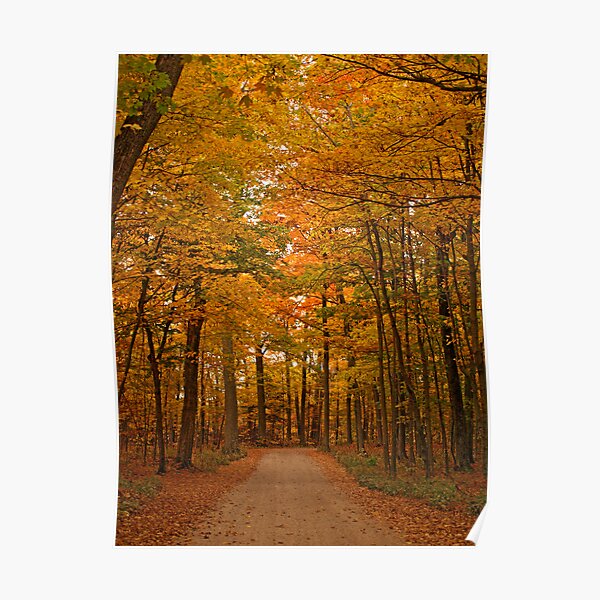 Autumn in Door County Poster