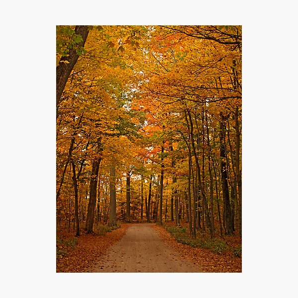 Autumn in Door County Photographic Print