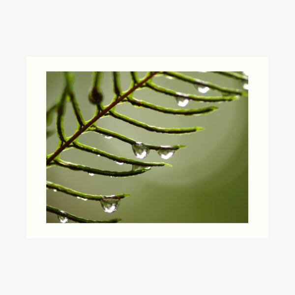 Refreshed Art Print