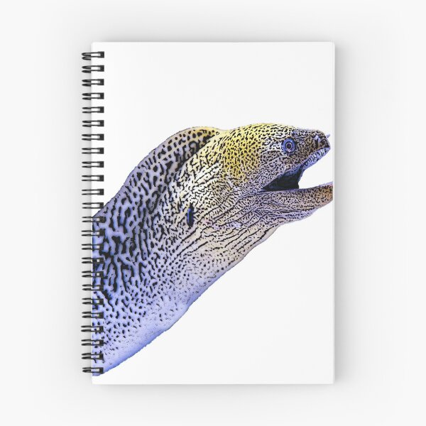 Item preview, Moray Eel Color Print  designed and sold by designsasstultd.