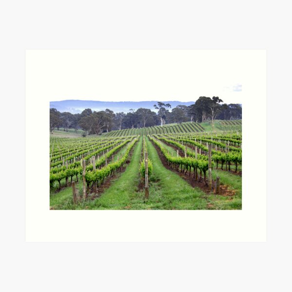 Item preview, ~ Spring Vines ~ designed and sold by LeeoPhotography.