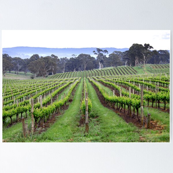 Item preview, ~ Spring Vines ~ designed and sold by LeeoPhotography.
