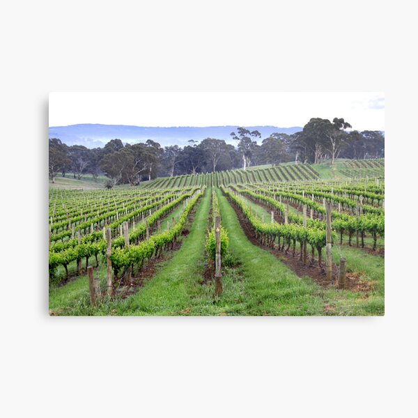 Item preview, ~ Spring Vines ~ designed and sold by LeeoPhotography.