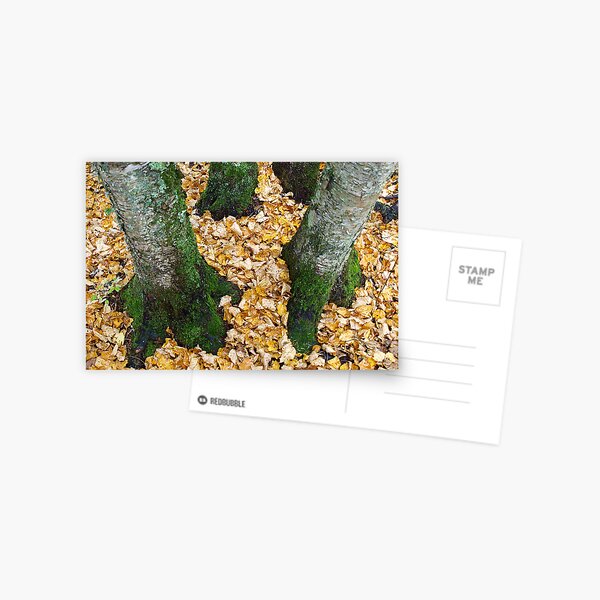Golden Carpet Postcard