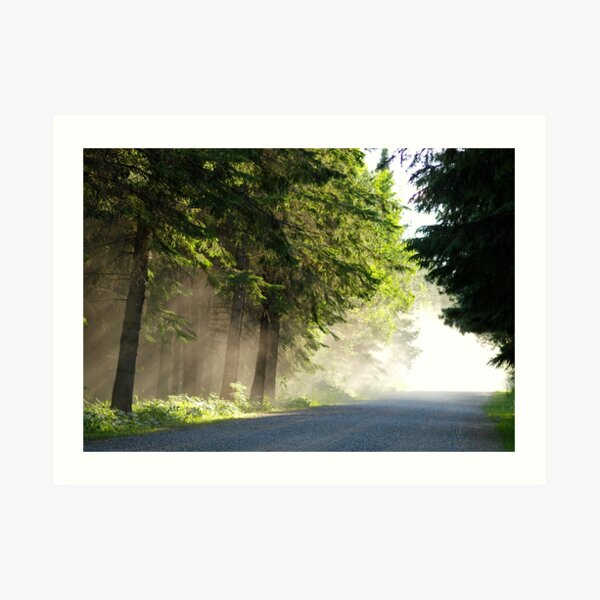 Sunday Drive Art Print