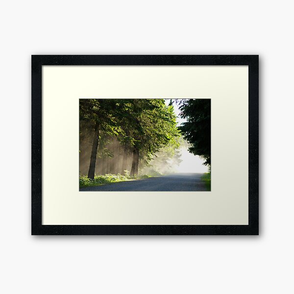 Sunday Drive Framed Art Print