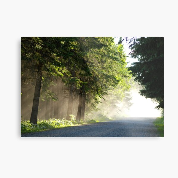 Sunday Drive Metal Print