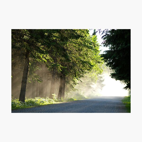 Sunday Drive Photographic Print