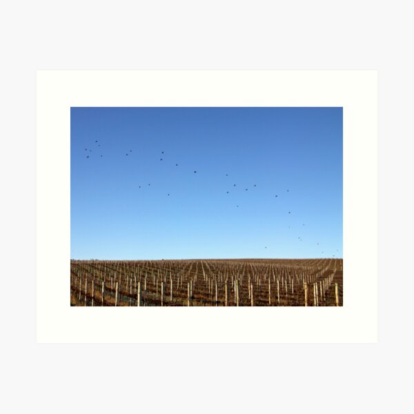 Item preview, ~ Birds'n'Vines designed and sold by LeeoPhotography.