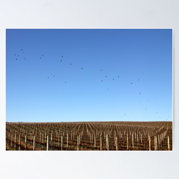 Item preview, ~ Birds'n'Vines designed and sold by LeeoPhotography.