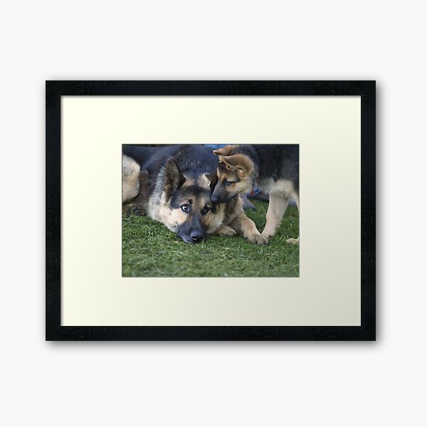 Introductions Framed Art Print