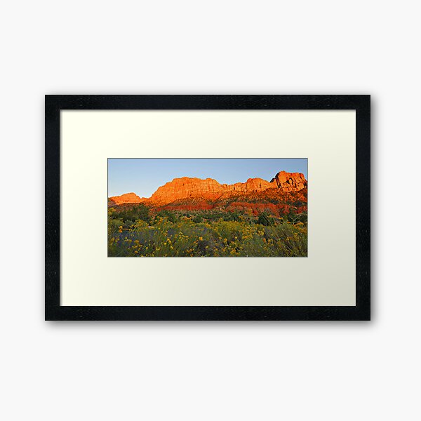 Snow Canyon State Park - Utah Framed Art Print