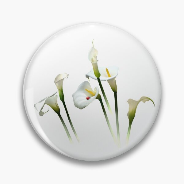 Artikelvorschau, Calla Lilien entworfen und verkauft von Salmoneggs.
