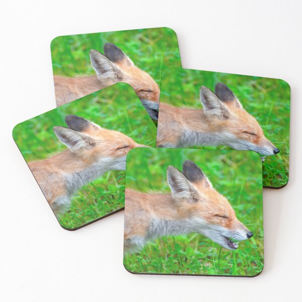 Item preview, Sneezing fox designed and sold by troianifabrizio.