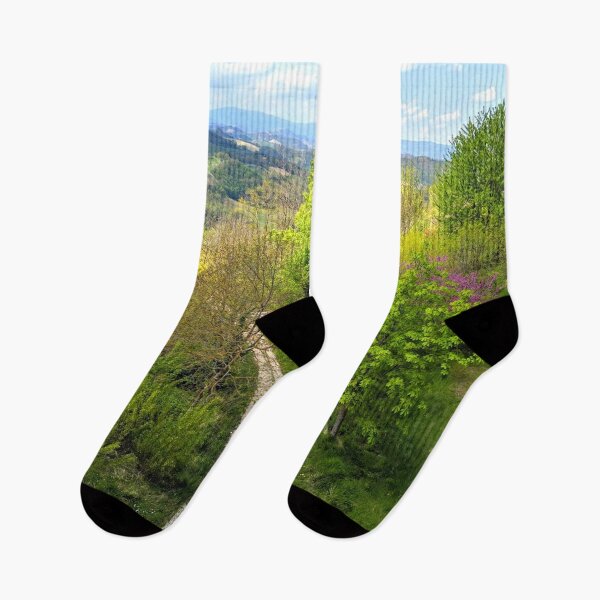 Item preview, Urbino, Italy Path through a Forest designed and sold by eliza-beth-.