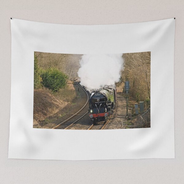 Item preview, The Cathedrals Express on the Paddington to Swansea line near Bridgend south Wales designed and sold by Cameranick.