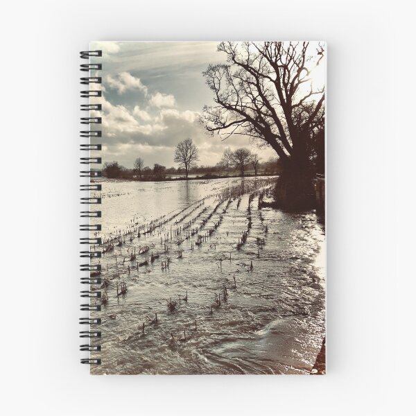 Item preview, flooded dead cornfield designed and sold by Mandi Collingridge.