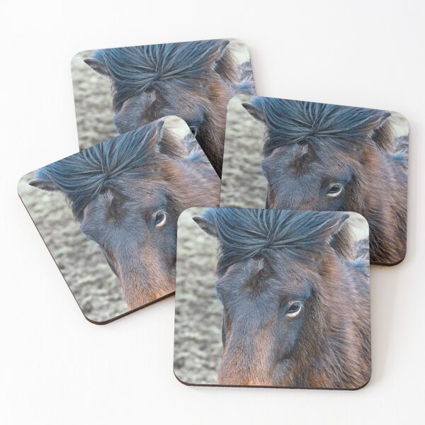 Item preview, Brown Icelandic Horse Close up designed and sold by Cameranick.